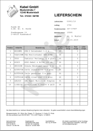 Mit print2forms automatisch erzeugte Kopie des Lieferscheins
